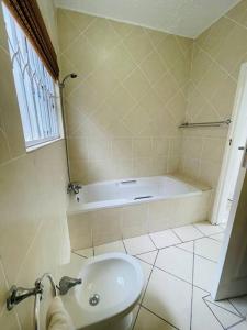 Marginella by the sea