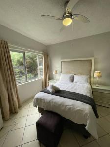 Marginella by the sea