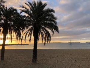 Hotels Anglade Hotel : photos des chambres