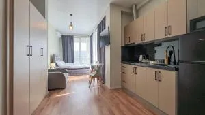 Guramishvili Vip Apartments 62 2 - Tsavkisi