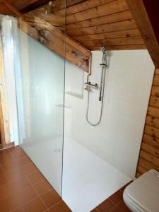 Panoramic House Carnia ,3 badroom chalet Ligosullo - Treppo Carnico - Paluzza - Zoncolan