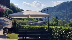 Panoramic House Carnia ,3 badroom chalet Ligosullo - Treppo Carnico - Paluzza - Zoncolan