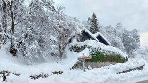 Panoramic House Carnia ,3 badroom chalet Ligosullo - Treppo Carnico - Paluzza - Zoncolan