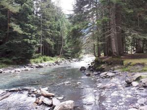 Saint lary soulan pied des pistes du Plat d Adet