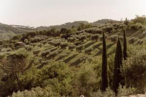 Agriturismo San Felicissimo