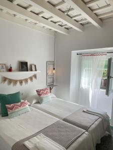 PENSION SOCAIRE CONIL