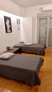 Xenias Cozy Apartment (near Acropolis Museum)