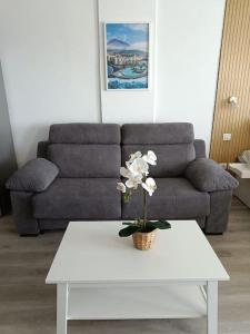 Estudio GIRASOL