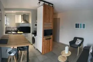 Charmant appartement t2 refait à neuf climatisé - Plaisance-du-Touch
