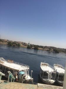 بيت ملكه house of malaka