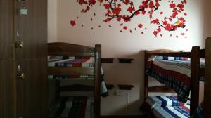 Hostel la nueva posada