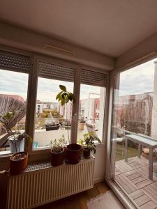 Appartements Bel appartement proche Mulhouse - grand balcon 9m2 : photos des chambres