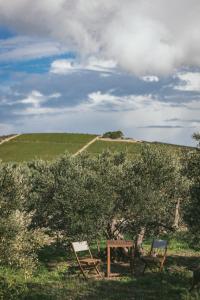 Adriatic Heritage Glamping No1 with Jacuzzi