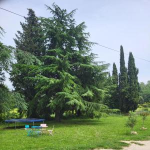 Domaine du grand platane