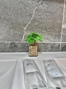 Coastal Retreats, Beach & Ocean View Playa Arena