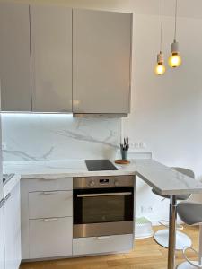 Spacious apartment near Eiffel Grenelle F2