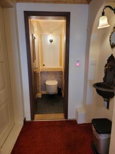 Double Room with Shared Bathroom room in Zunfthaus zur Rebleuten