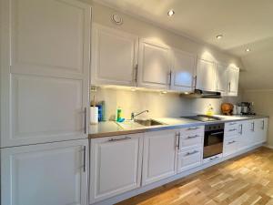 Beautiful penthouse centrally located in Geilo, stunning views