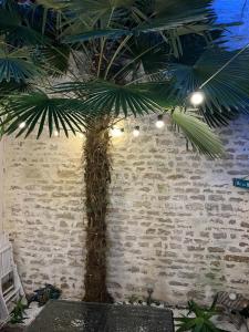 Maisons de vacances Ma Petite Cabane : photos des chambres