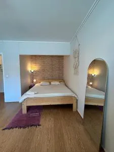 Studio apartment near the center - Vesanka