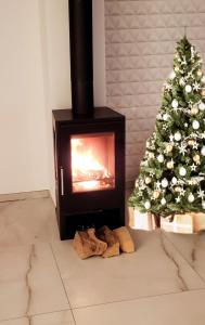 Dalmatian Dream Apartment Zadar