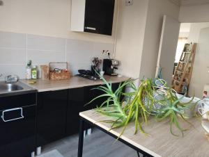 Appartement entier avec terrasse