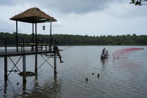 Bellevue Homestay and Wellness Centre