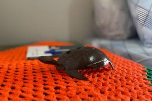 Pousada Vila Santos - 200m da praia de Atins