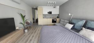 River Living Apartman