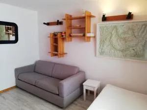 Appartement cosy à Plagne Village avec accès direct aux pistes, terrasse exposée sud, animaux acceptés - FR-1-351-22 - 尚帕尼恩瓦努瓦茲