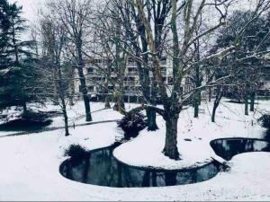 Appartements Un ecrin de verdure aux portes de Paris : photos des chambres