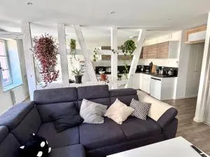 Grand et lumineux 2 pièces en zone pietonne - 阿格诺