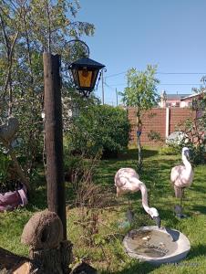 Cabañas lo de Kary 2