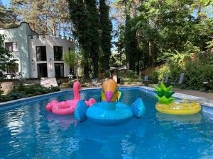 Villa with outdoor pool Warsaw