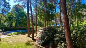 Villa with outdoor pool Warsaw