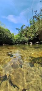 OSIMiRI ARENAL apartamento-Naturaleza-aventura-comodidad-Cine en casa