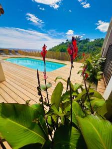Villas Villa Mare e Machja avec piscine et vue mer : photos des chambres