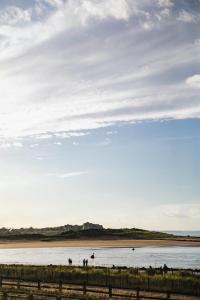 Appartements Le 139 FRONT DE MER - Grand appartement contemporain 2 a 6 personnes - 1er etage : photos des chambres