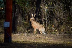 chalet la granadilla