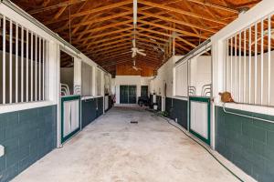 Friendly cottage with barn and pool