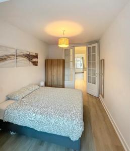 Magnifique appartement une chambre