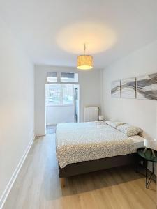 Magnifique appartement une chambre