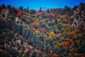 Cozy Cottage Feel Free continental