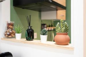 Appartements Le Cosy de Saint Epvre - Studio - 2 Pers : photos des chambres