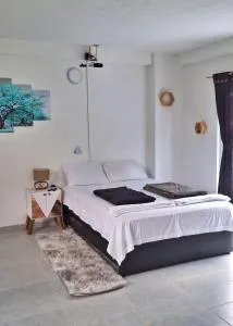 OSIMiRI JAMAICA II-Piscina, naturaleza mágica - 圣拉菲尔