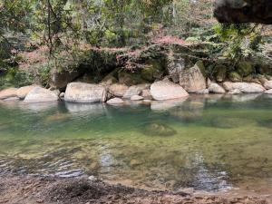 OSIMiRI JAMAICA II-Piscina, naturaleza mágica