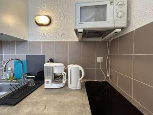 Appartements Studio cosy proche pistes avec balcon et parking, 4 couchages - FR-1-330F-241 : photos des chambres