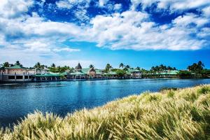 Fairway Villas Waikoloa B21