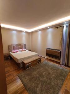 شقه فندقيه مفروشه للايجار