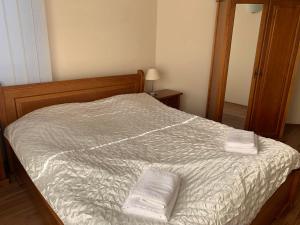 Cozy Mountain Apartment